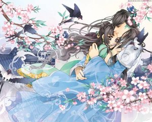 了解 老中医Spa养生馆视频